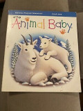 Wild Animal BAby