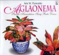 Aglaonemia Pesona Kecantikan Sang Ratu Daun