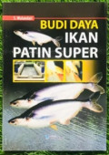 Budidaya Ikan Patin super