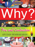 Why ? Fire and Combustion = Api dan Pembakaran