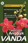 Budi Daya Anggrek Vanda