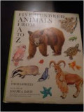 Animal : Five Hundred From A to Z