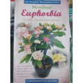 Kiat Mengatasi Permasalahan Praktis : Membuat Euphorbia Tampil Indah Menawan