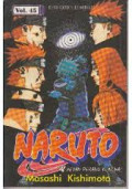 Naruto #45