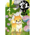 Shibao